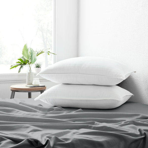 Bed Panda Life Pillows Bamboo Wayfair